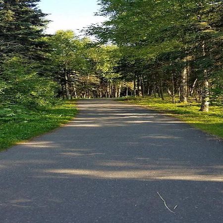 Moose Meadows- Near The Airport, Centrally Located Анкъридж Екстериор снимка