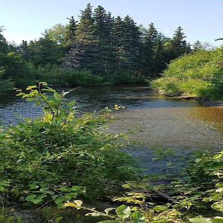 Moose Meadows- Near The Airport, Centrally Located Анкъридж Екстериор снимка