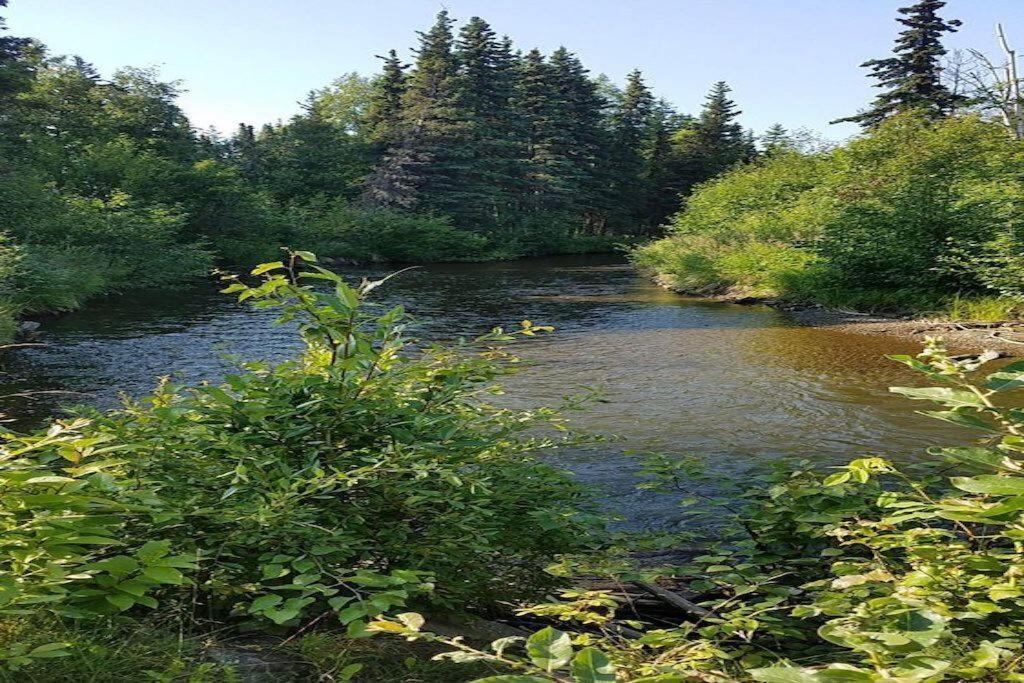 Moose Meadows- Near The Airport, Centrally Located Анкъридж Екстериор снимка